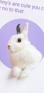 White bunny with purple background and text design.