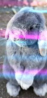 Cute bunny with neon pink and blue lights, standing on ground.