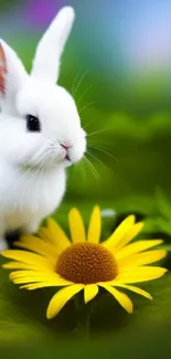 White rabbit with a yellow flower on a vibrant green background.