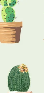 Illustrated cacti and succulents in pots on a light green wallpaper background.