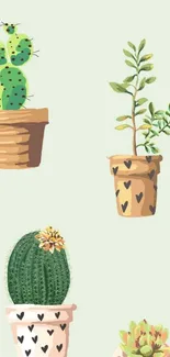 Cute cactus plants in decorative pots wallpaper.