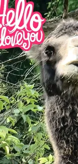 Cute camel with 'Hello I love you' text among green leaves.