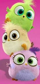 Three cute cartoon birds stacked on a pink background.