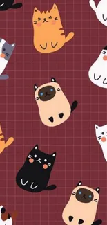 Cute cartoon cats on maroon red grid background wallpaper.