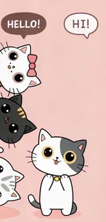 Cartoon cats saying 'Hello' on pink background.