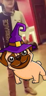 Cartoon pug with purple witch hat on mobile wallpaper.