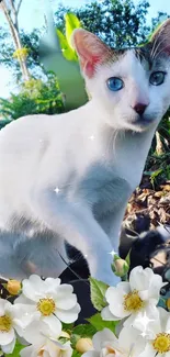 White cat with blue eyes surrounded by flowers in a garden setting.