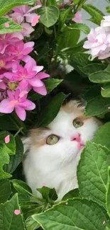 White cat peeking through pink flowers and green leaves.