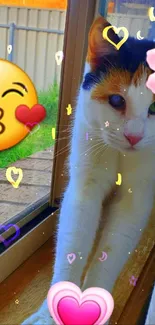 Cute cat by window with colorful emojis.