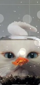 Cute white cat looking at an orange fish in a glass bowl wallpaper.