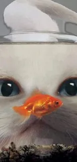 White cat with blue eyes looks at goldfish in bowl, creating a cute scene.