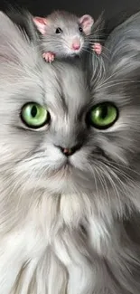 Fluffy gray cat with green eyes and a mouse on its head, vibrant wallpaper.