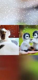 Cute wallpaper with a cat and penguin chicks, colorful background.