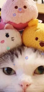 Cute cat with plush toys on head, creating a cozy and adorable mobile wallpaper.