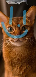 Ginger cat with blue smile and shark art wallpaper.