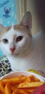 Cute cat beside a bowl of fries.