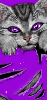 Vibrant purple wallpaper with a cute cat design.