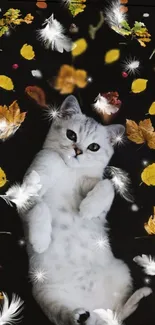 Cute cat with autumn leaves and feathers on a black background.