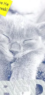 Peaceful cat with 'BED' text, perfect for relaxation.