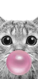 Monochrome cat with pink bubblegum on white background.