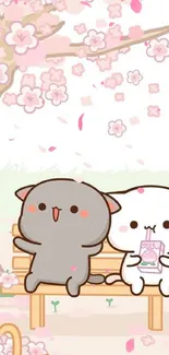 Cute cartoon cats under cherry blossoms on a bench.