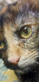 Close-up of a tortoiseshell cat with green eyes on a patterned background.