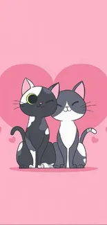 Cute cartoon cat couple on pink heart background.