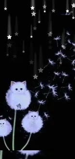 Charming cat dandelion mobile wallpaper with stars.