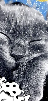 Fluffy cat sleeping peacefully with sparkles.