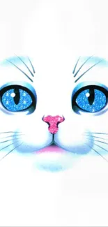 Cute cat face with blue eyes on a white background.