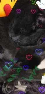 Sleeping cat surrounded by colorful hearts and peace symbols.