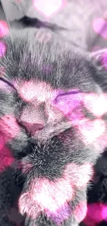 Sleeping cat with pink heart overlay wallpaper.