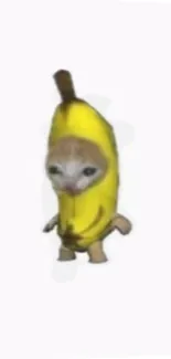 Cute cat dressed in a banana costume on a white background.