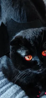 Black cat dressed as bat with orange eyes on gray backdrop.