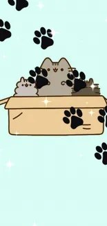 Cute cartoon cats in a box with paw prints and a light cyan background.