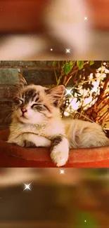 Adorable kitten relaxing in a flower pot surrounded by nature.