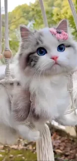 Adorable fluffy cat with blue eyes in a hammock outdoors.