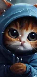 Charming kitten in blue hoodie mobile wallpaper.