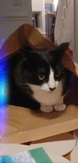 Black and white cat lounging inside a brown paper bag.