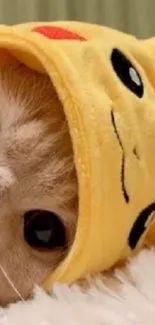 Cute cat in Pikachu costume with a red rose on a fluffy rug.