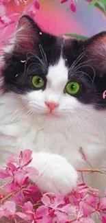 Black and white cat amidst pink flowering blossoms.