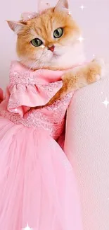 Adorable cat in pink dress leaning on sofa, perfect for a cute mobile wallpaper.