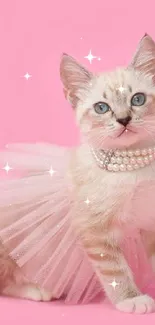 A cute cat in a pink tutu with a matching pink background.