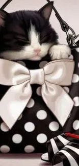 Black and white cat in polka dot handbag with bow.