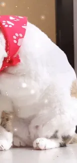 White cat in red bandana with sparkles.