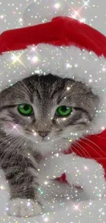 Cute kitten in a Santa hat with sparkles.