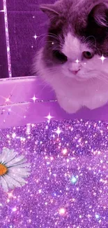 Fluffy cat overlooking purple sparkling water with a daisy in a tub.