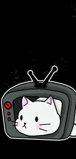 Adorable white cat in vintage TV on black wallpaper.