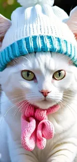 Cute white cat wearing a winter hat and pink scarf.