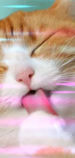 Close-up of a cute cat licking its paw with colorful lighting effects.